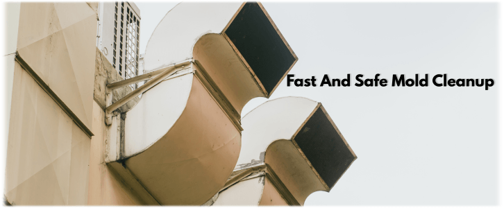 Air Duct Mold Removal in Glendale AZ
